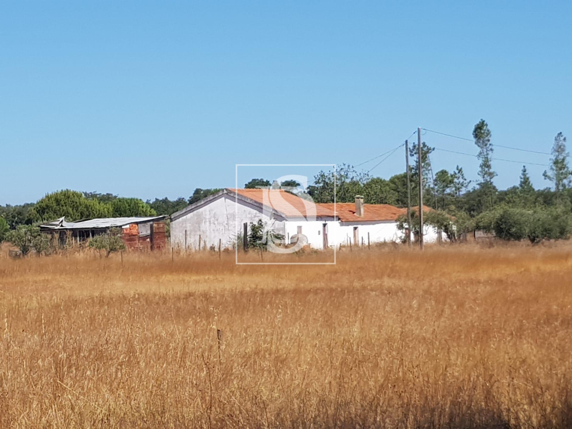 Moradia para Restaurar T3