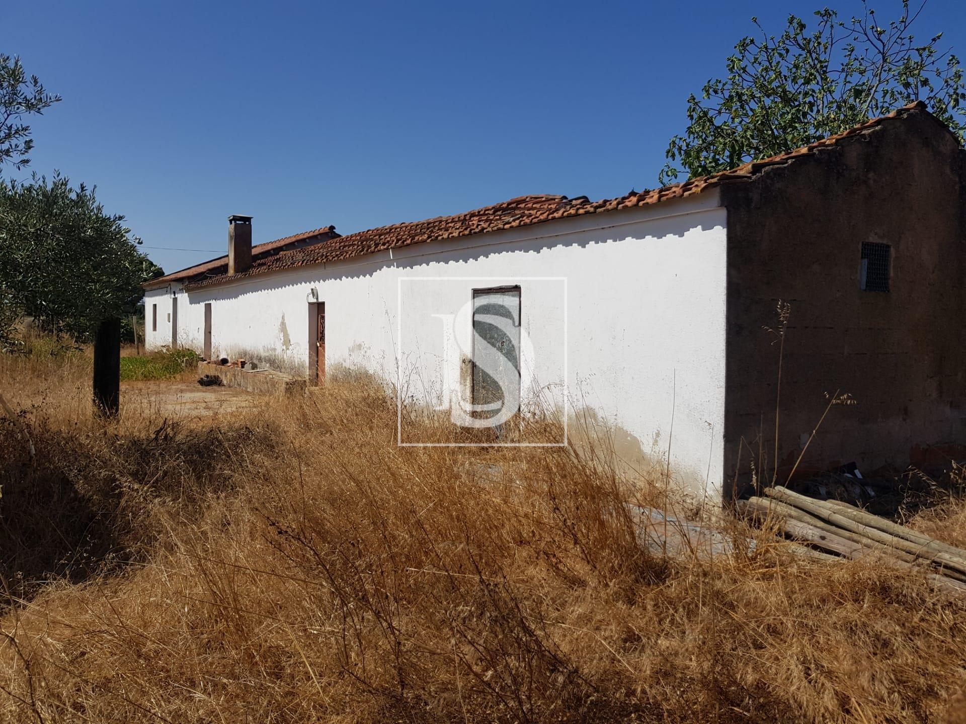 Moradia para Restaurar T3