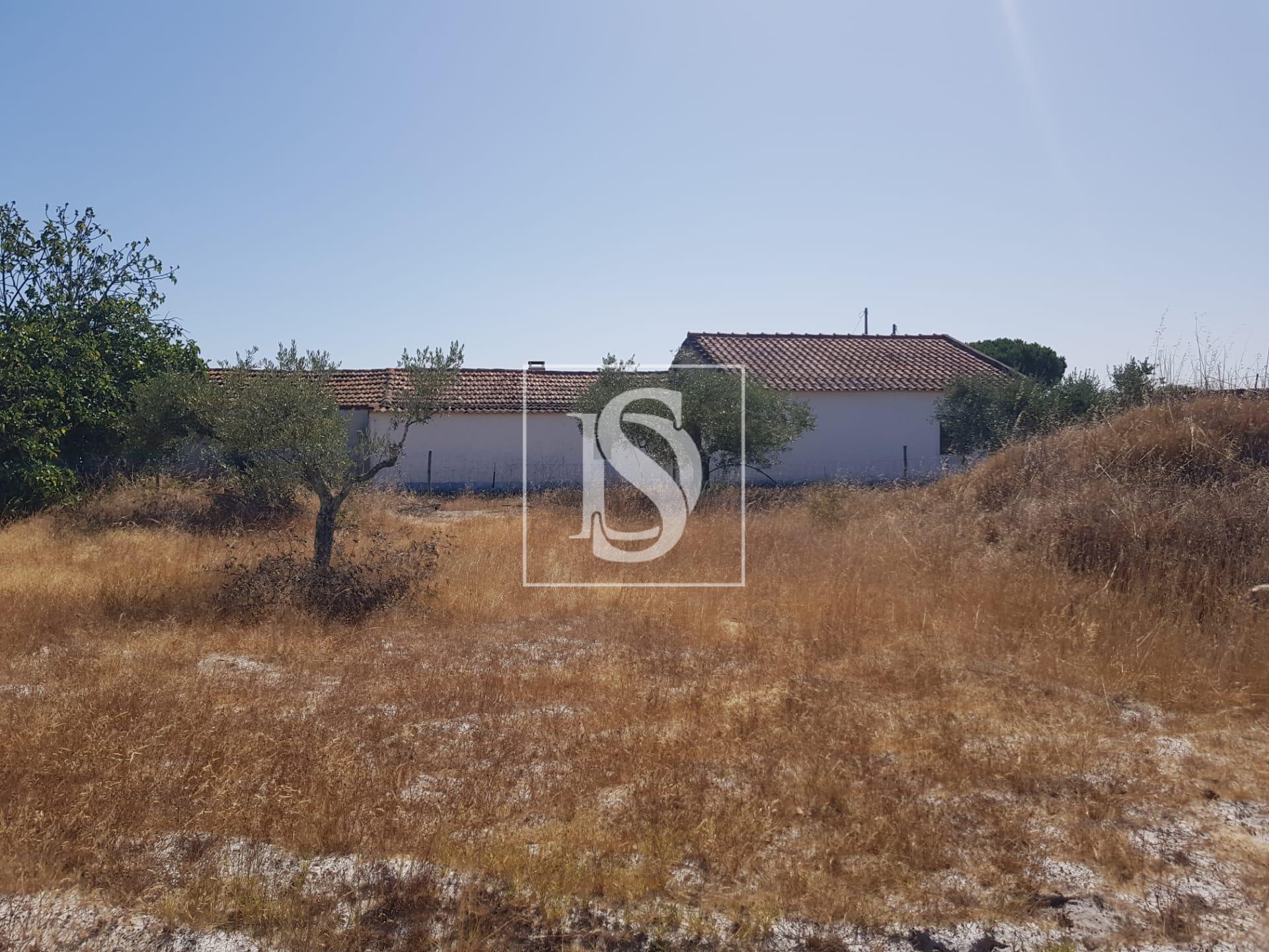 Moradia para Restaurar T3